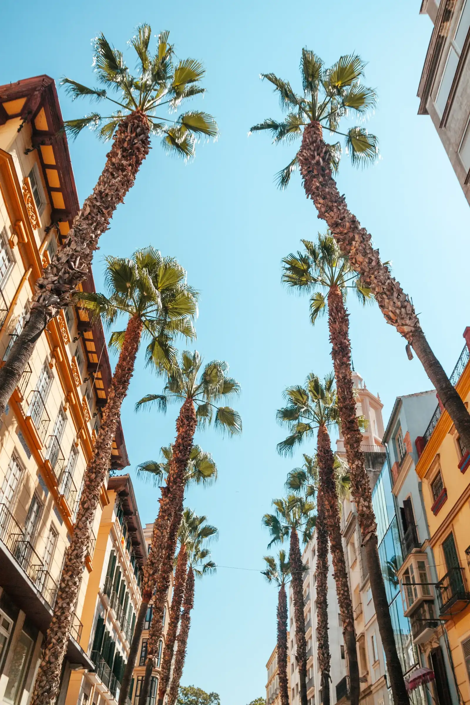 Casco antiguo Marbella